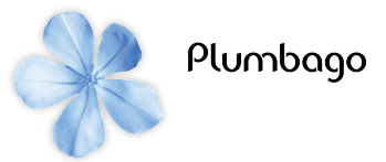 Plumbago à Lyon : Expertise en Nettoyage Écologique et Impeccable