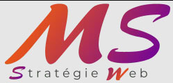 MS Stratégie Web